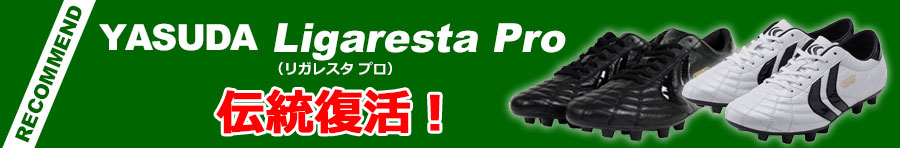 Ligaresta Pro