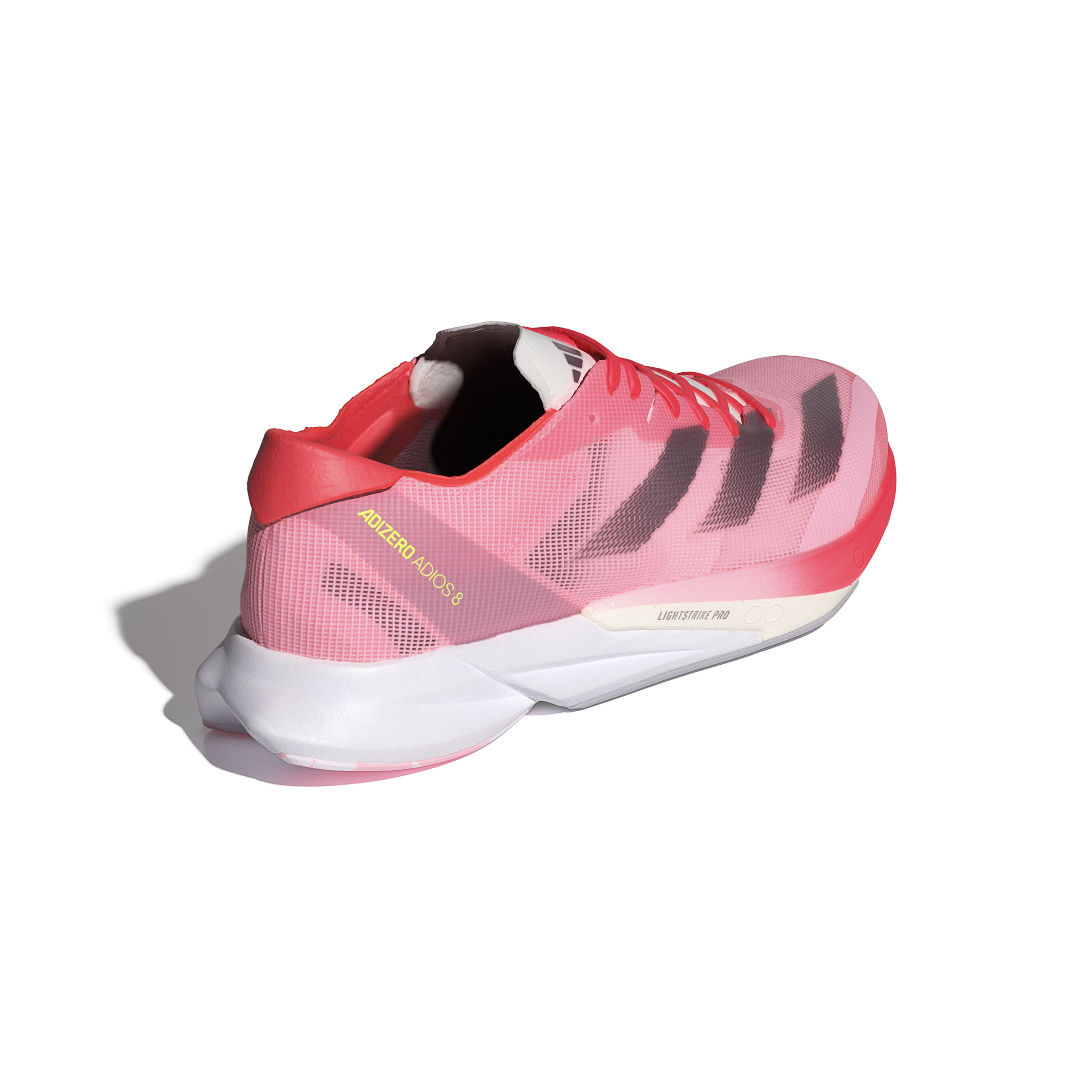 フライトスポーツWEBSHOP / [ウィメンズモデル] ADIZERO JAPAN 8